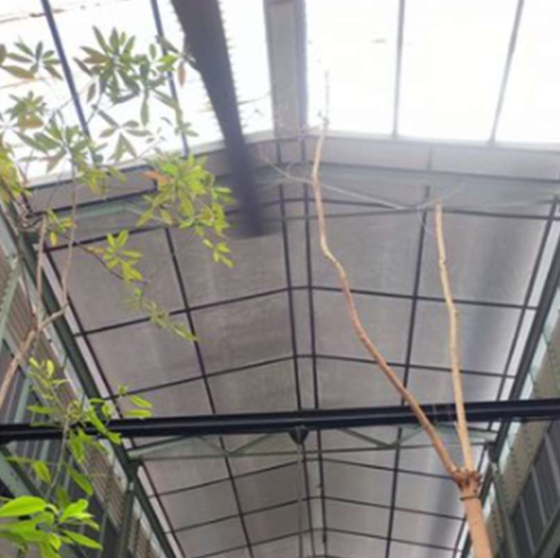 screenshot 2026 01 11 at 16.53.10